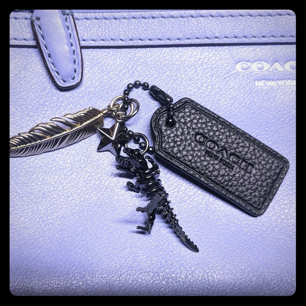 Coach charm set